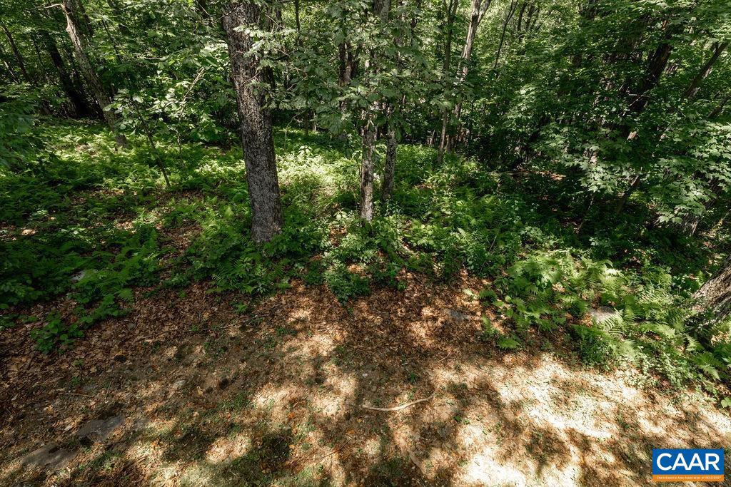 116 BEAR RUN, ROSELAND, Virginia 22967, 3 Bedrooms Bedrooms, ,2 BathroomsBathrooms,Residential,For sale,116 BEAR RUN,666361 MLS # 666361