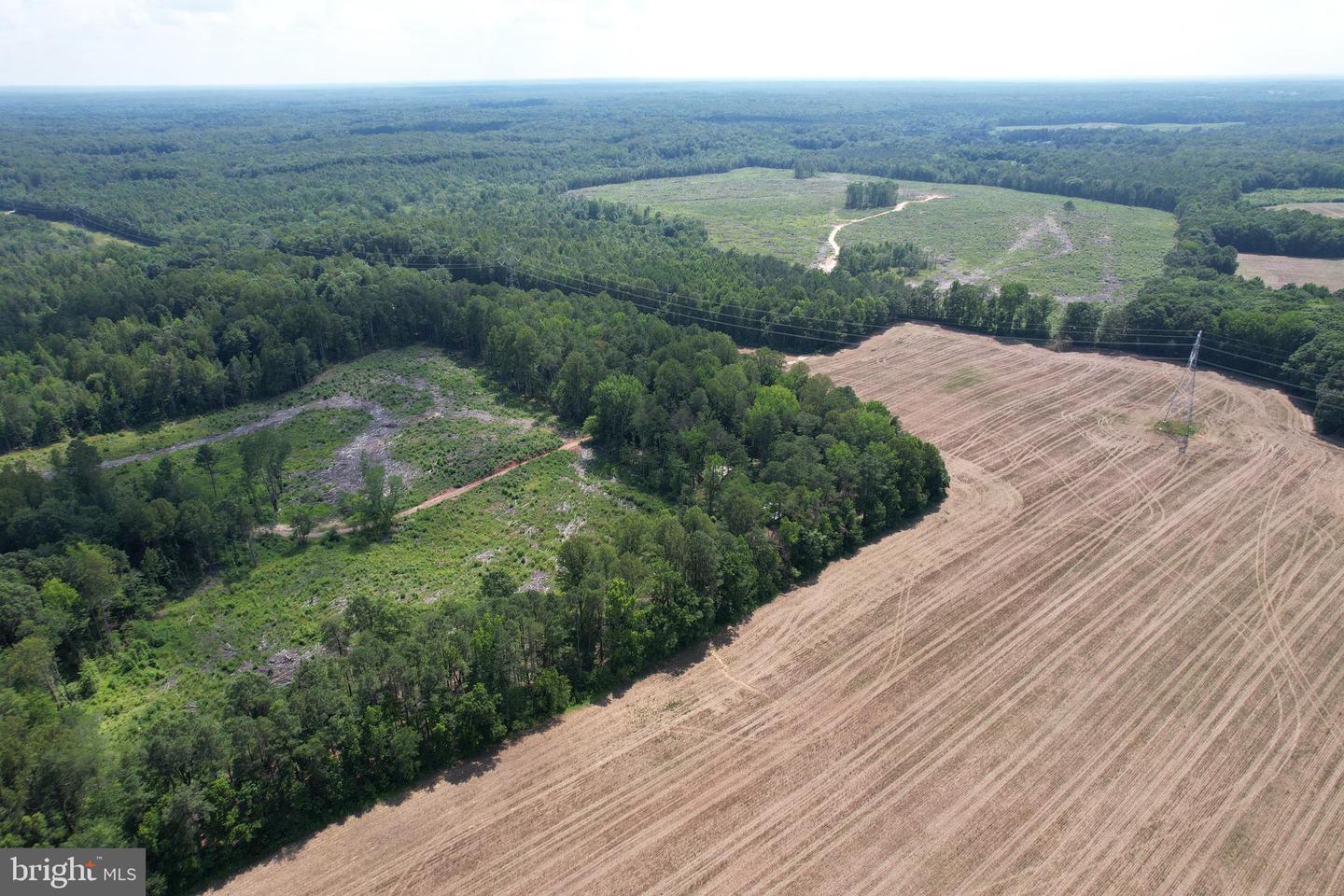0 COUNTYLINE CHURCH, WOODFORD, Virginia 22580, ,Land,For sale,0 COUNTYLINE CHURCH,VACV2008454 MLS # VACV2008454