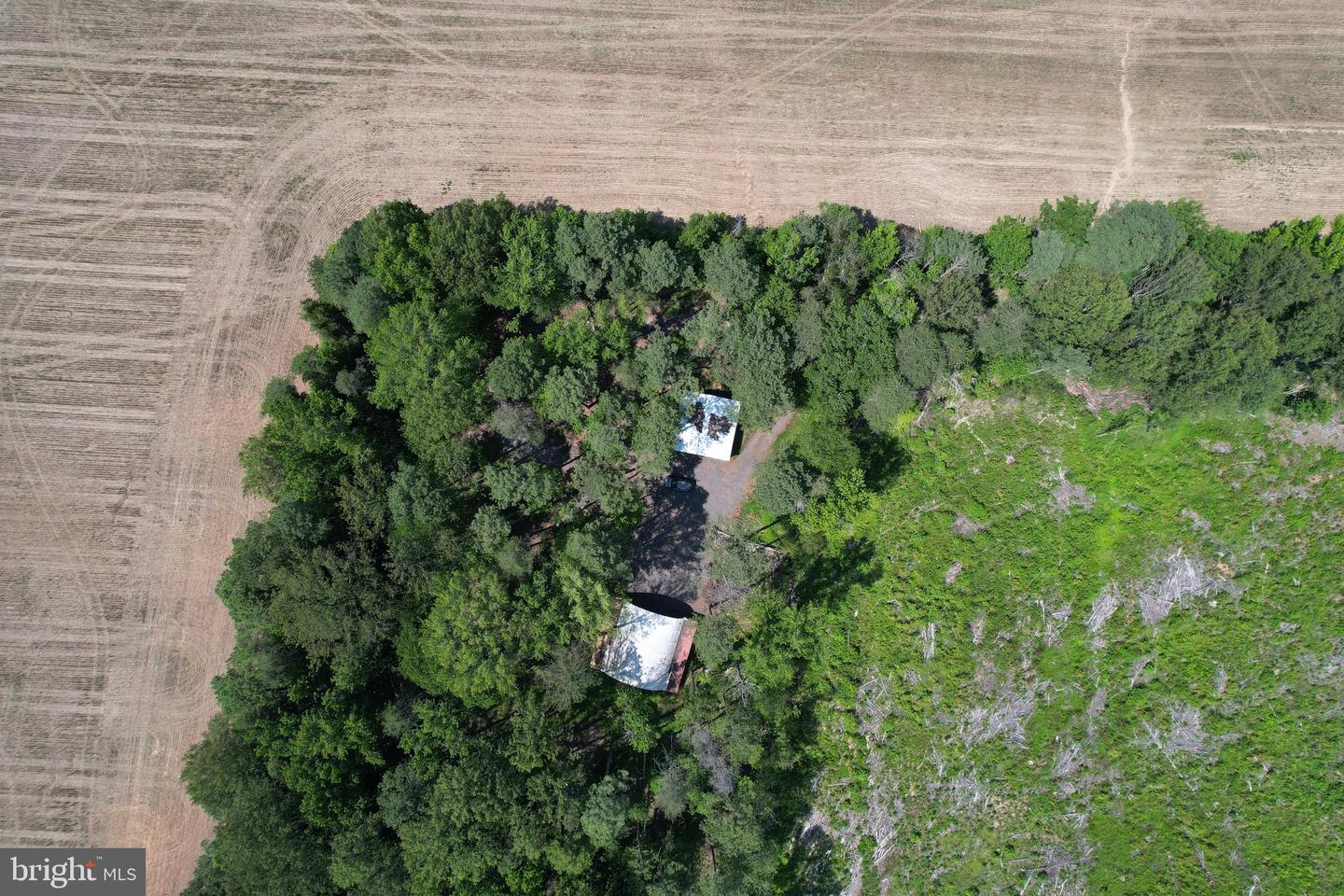 0 COUNTYLINE CHURCH, WOODFORD, Virginia 22580, ,Land,For sale,0 COUNTYLINE CHURCH,VACV2008454 MLS # VACV2008454