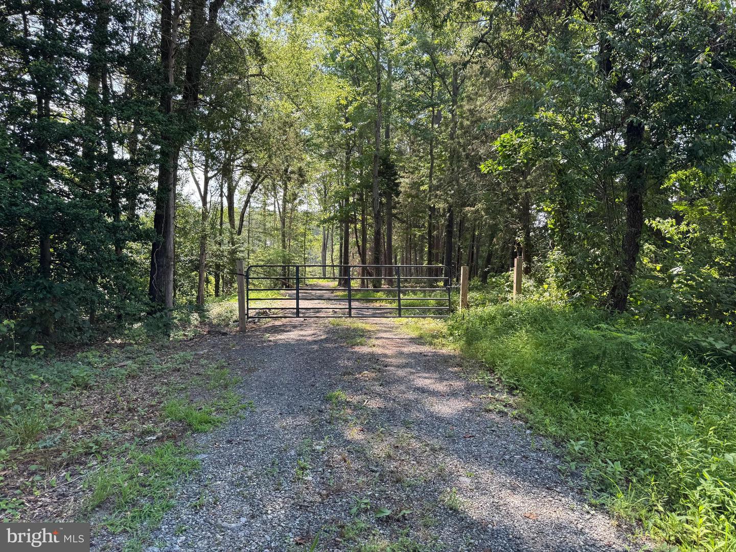 0 COUNTYLINE CHURCH, WOODFORD, Virginia 22580, ,Land,For sale,0 COUNTYLINE CHURCH,VACV2008454 MLS # VACV2008454