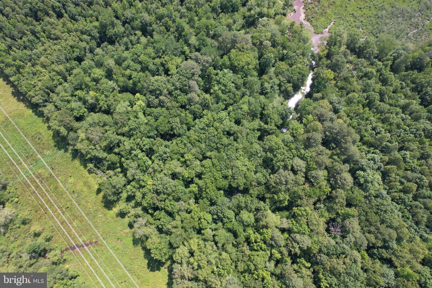 0 COUNTYLINE CHURCH, WOODFORD, Virginia 22580, ,Land,For sale,0 COUNTYLINE CHURCH,VACV2008454 MLS # VACV2008454