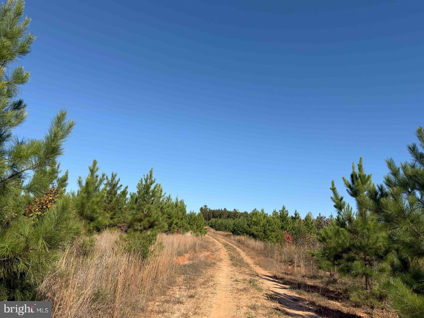 WOODFORK ROAD (RT. 650) (TRACT ROGERS-1), CHARLOTTE COURT HOUSE, Virginia 23923, ,Farm,For sale,WOODFORK ROAD (RT. 650) (TRACT ROGERS-1),VACE2000022 MLS # VACE2000022