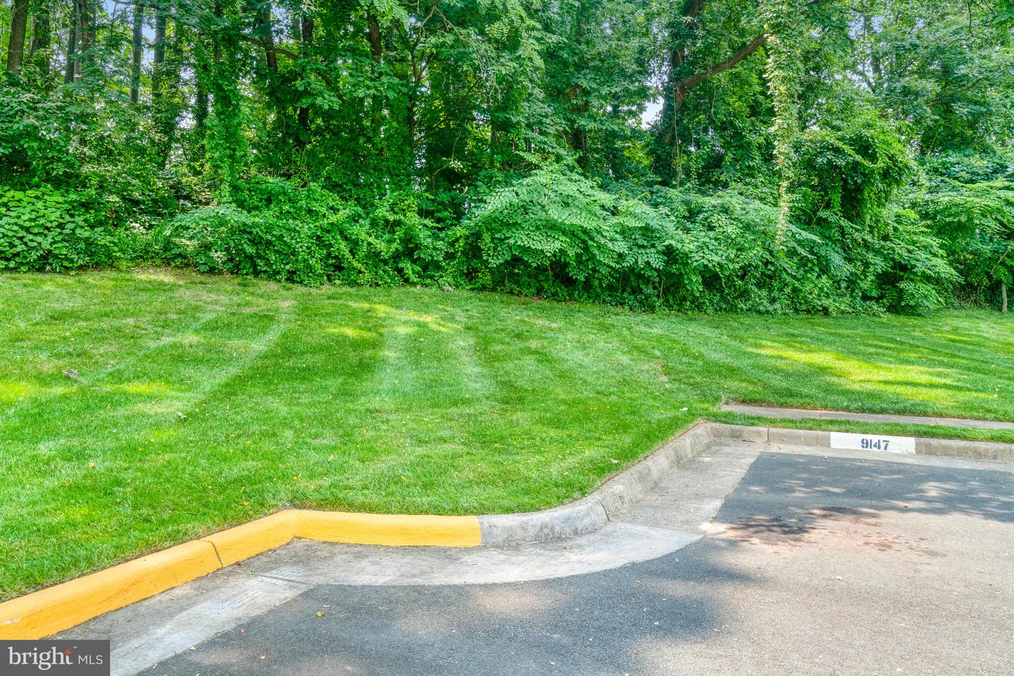 9147 EVERETT CT, SPRINGFIELD, Virginia 22152, 2 Bedrooms Bedrooms, ,2 BathroomsBathrooms,Residential,For sale,9147 EVERETT CT,VAFX2252868 MLS # VAFX2252868