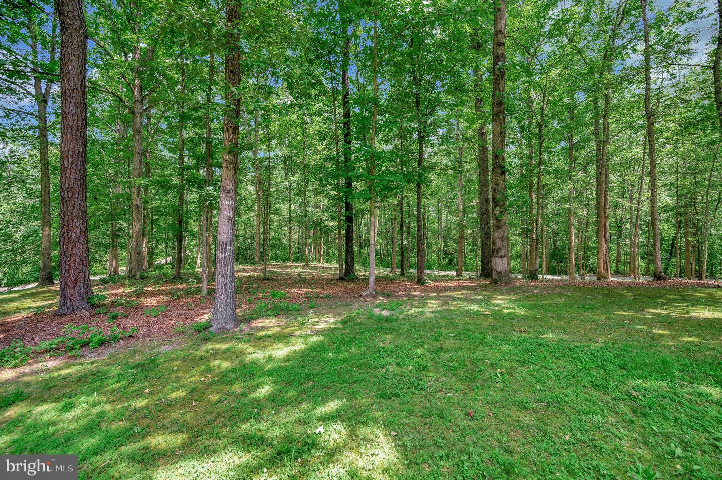 9000 FREDERICKSBURG TPKE, WOODFORD, Virginia 22580, 5 Bedrooms Bedrooms, 10 Rooms Rooms,3 BathroomsBathrooms,Residential,For sale,9000 FREDERICKSBURG TPKE,VACV2008450 MLS # VACV2008450