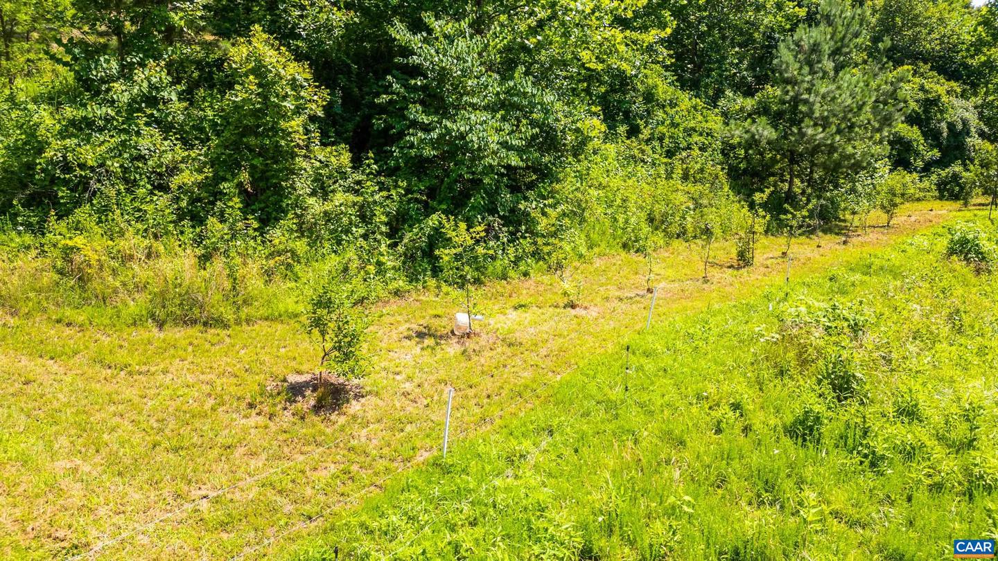 350 CREEKSIDE LN, FABER, Virginia 22938, 2 Bedrooms Bedrooms, ,2 BathroomsBathrooms,Residential,For sale,350 CREEKSIDE LN,666366 MLS # 666366