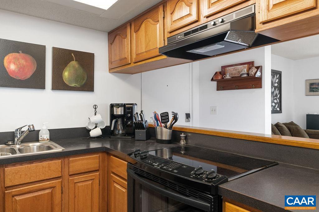 1420 HIGHLANDS CONDOS, WINTERGREEN RESORT, Virginia 22967, 1 Bedroom Bedrooms, ,1 BathroomBathrooms,Residential,For sale,1420 HIGHLANDS CONDOS,666371 MLS # 666371