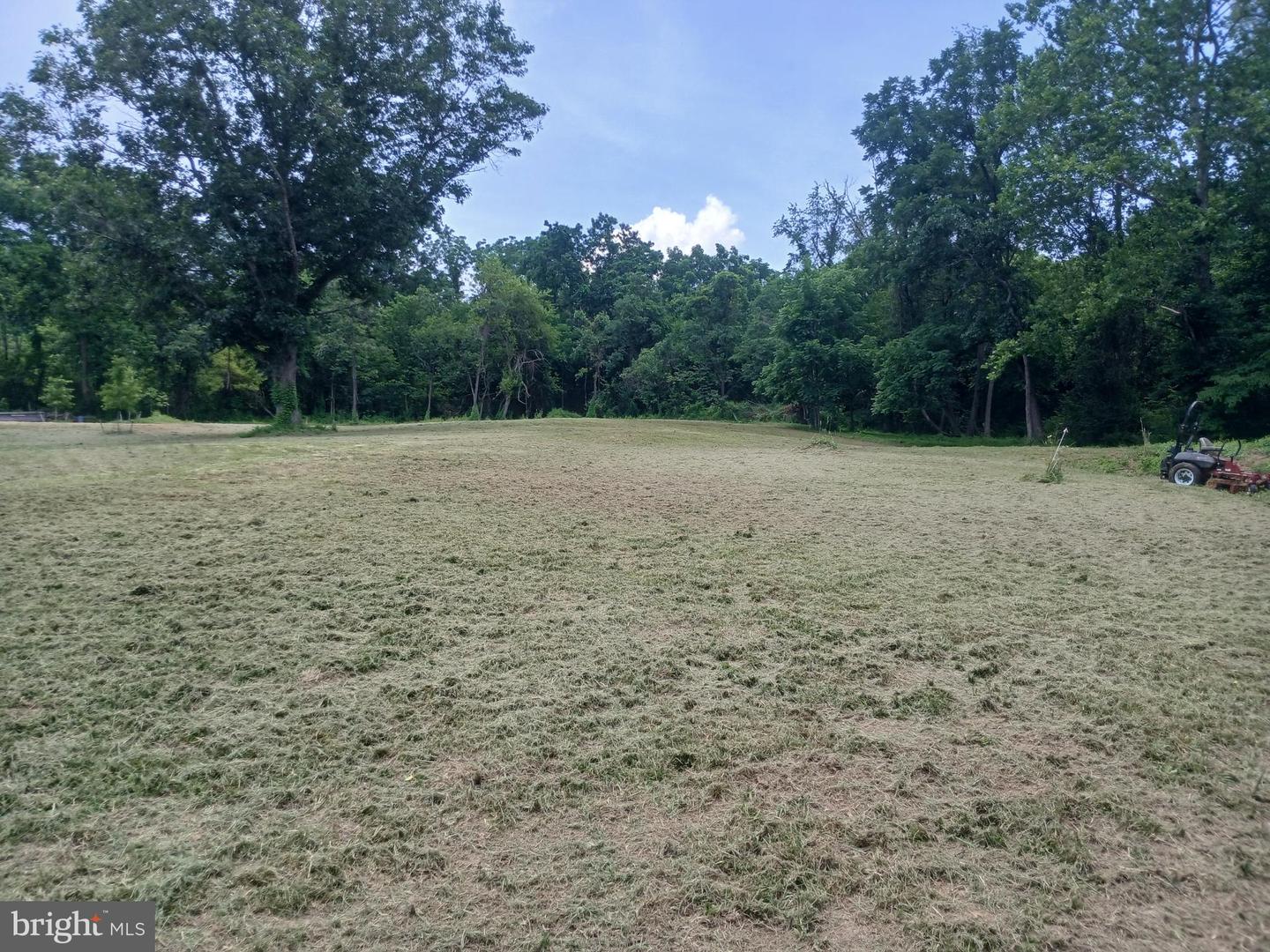 CAROLYNS WAY, LINDEN, Virginia 22642, ,Land,For sale,CAROLYNS WAY,VAFQ2017316 MLS # VAFQ2017316