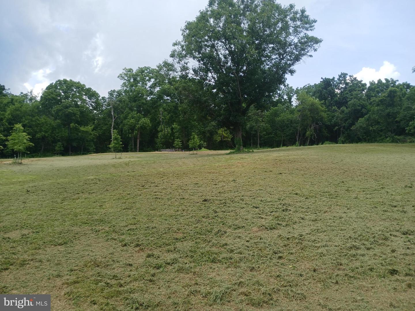 CAROLYNS WAY, LINDEN, Virginia 22642, ,Land,For sale,CAROLYNS WAY,VAFQ2017316 MLS # VAFQ2017316