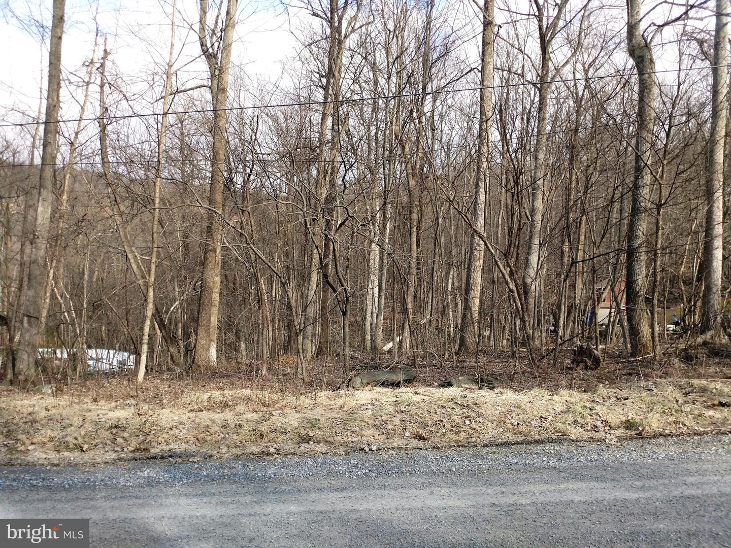 0 RIDGE TOP LANE, FRONT ROYAL, Virginia 22630, ,Land,For sale,0 RIDGE TOP LANE,VAWR2011622 MLS # VAWR2011622