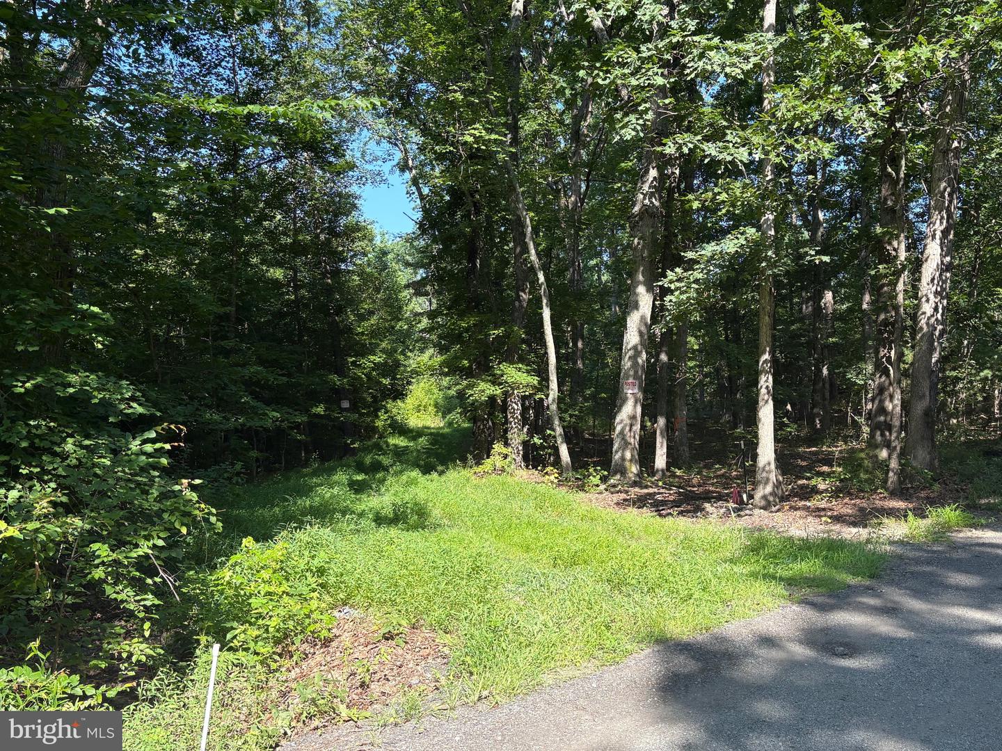 23 TAYLOR RD, LOUISA, Virginia 23093, ,Land,For sale,23 TAYLOR RD,VALA2008178 MLS # VALA2008178