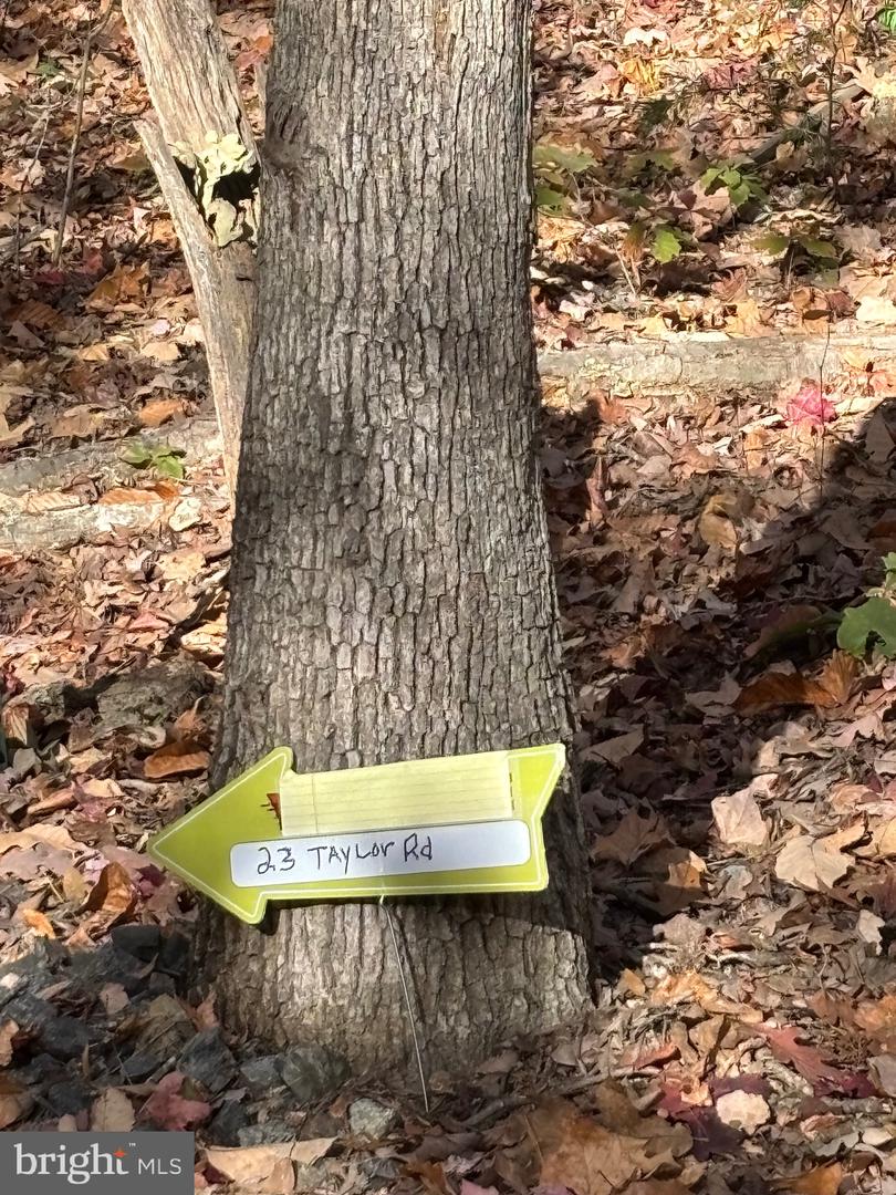 23 TAYLOR RD, LOUISA, Virginia 23093, ,Land,For sale,23 TAYLOR RD,VALA2008178 MLS # VALA2008178
