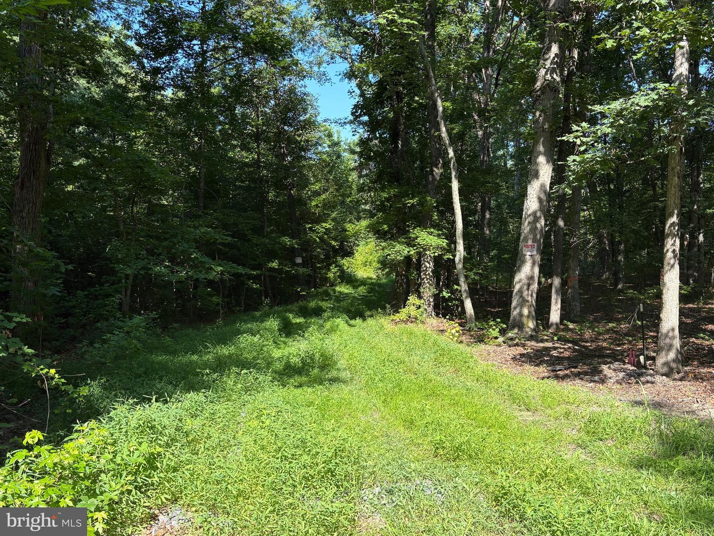 23 TAYLOR RD, LOUISA, Virginia 23093, ,Land,For sale,23 TAYLOR RD,VALA2008178 MLS # VALA2008178