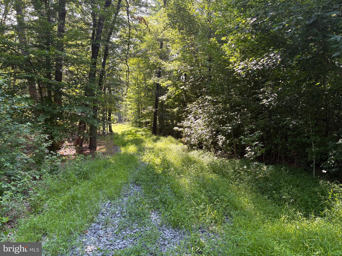 23 TAYLOR RD, LOUISA, Virginia 23093, ,Land,For sale,23 TAYLOR RD,VALA2008178 MLS # VALA2008178