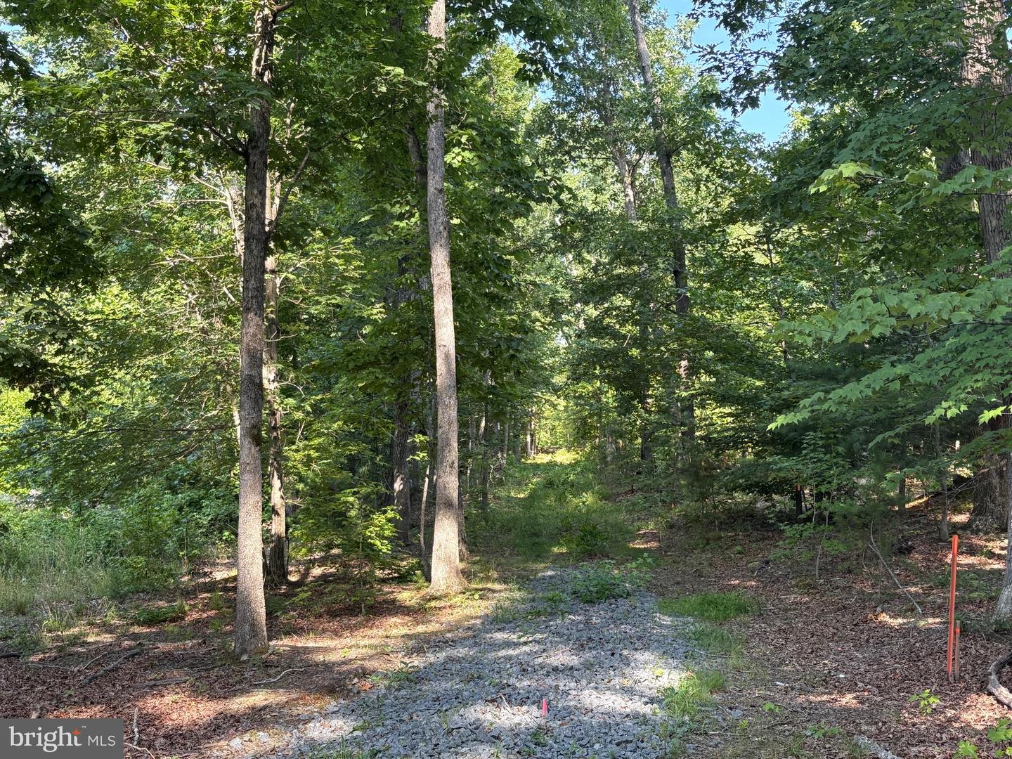 23 TAYLOR RD, LOUISA, Virginia 23093, ,Land,For sale,23 TAYLOR RD,VALA2008178 MLS # VALA2008178