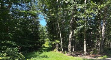 23 TAYLOR RD, LOUISA, Virginia 23093, ,Land,For sale,23 TAYLOR RD,VALA2008178 MLS # VALA2008178