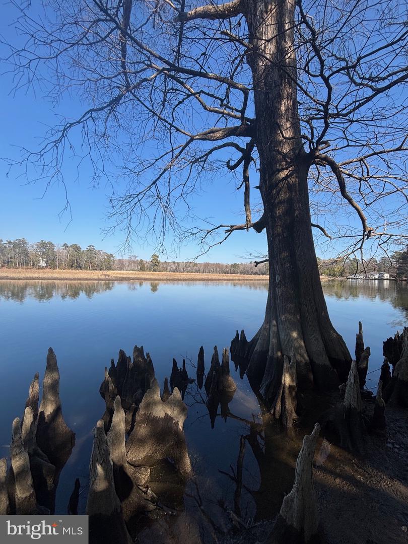 339 NECK-O-LAND RD, WILLIAMSBURG, Virginia 23185, ,Land,For sale,339 NECK-O-LAND RD,VAJC2000494 MLS # VAJC2000494