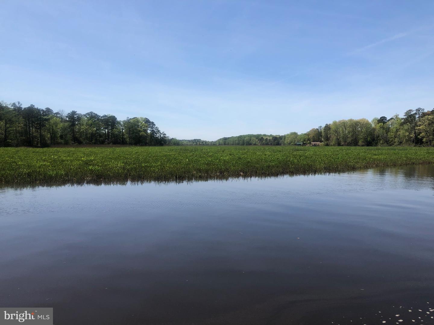 339 NECK-O-LAND RD, WILLIAMSBURG, Virginia 23185, ,Land,For sale,339 NECK-O-LAND RD,VAJC2000494 MLS # VAJC2000494