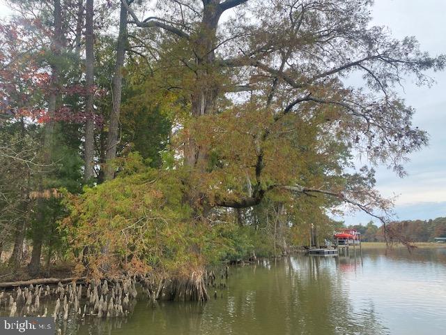 339 NECK-O-LAND RD, WILLIAMSBURG, Virginia 23185, ,Land,For sale,339 NECK-O-LAND RD,VAJC2000494 MLS # VAJC2000494