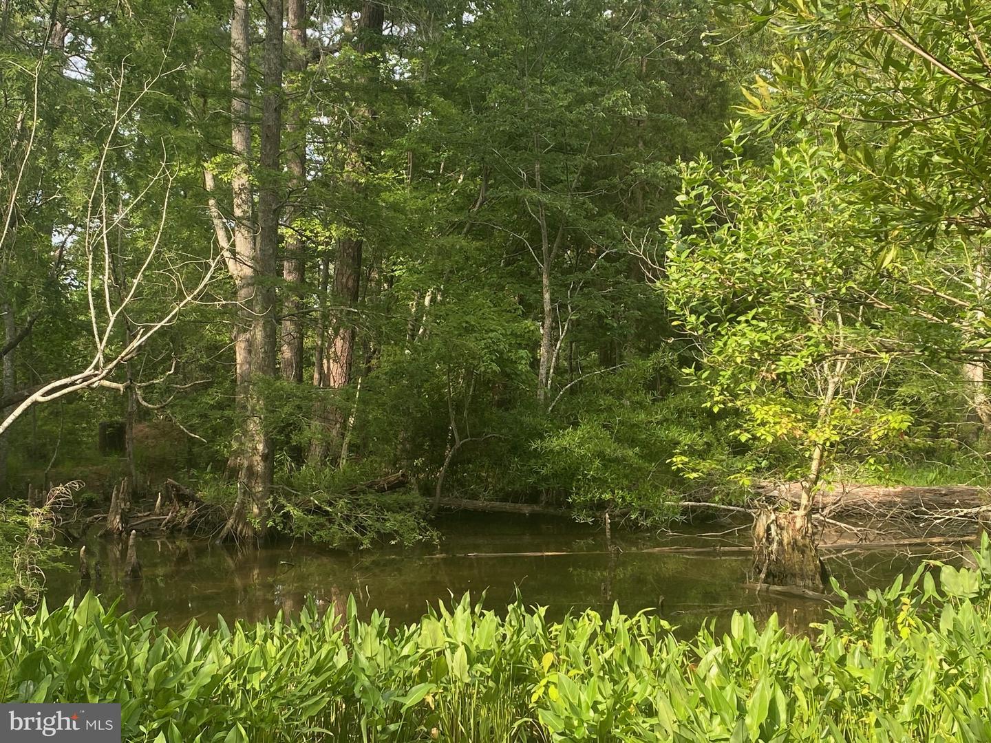 339 NECK-O-LAND RD, WILLIAMSBURG, Virginia 23185, ,Land,For sale,339 NECK-O-LAND RD,VAJC2000494 MLS # VAJC2000494
