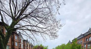2227 1ST ST NW, WASHINGTON, District Of Columbia 20001, 5 Bedrooms Bedrooms, ,2 BathroomsBathrooms,Residential,For sale,2227 1ST ST NW,DCDC2193774 MLS # DCDC2193774
