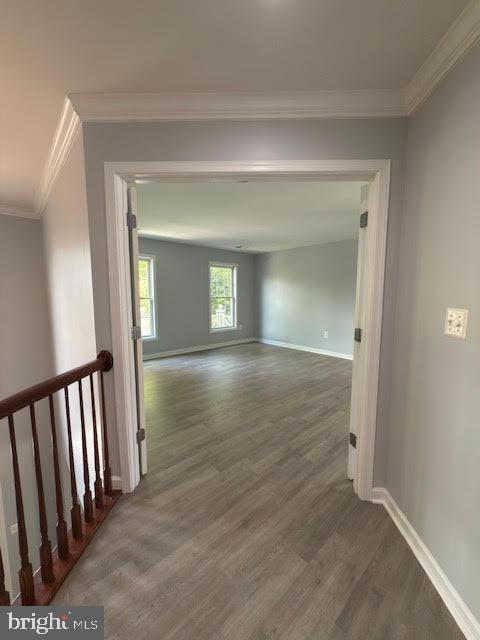 41537 WARE CT, ALDIE, Virginia 20105, 6 Bedrooms Bedrooms, ,5 BathroomsBathrooms,Residential,For sale,41537 WARE CT,VALO2094028 MLS # VALO2094028