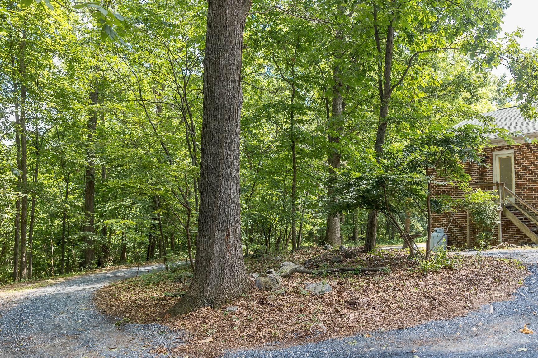 Drive wraps around to the rear of the home.