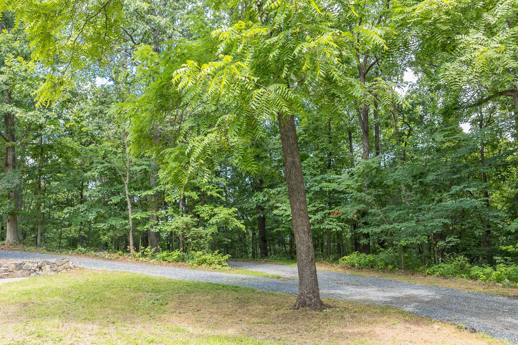 6501 SUNDAY DR, MOUNT CRAWFORD, Virginia 22841, 4 Bedrooms Bedrooms, ,2 BathroomsBathrooms,Residential,6501 SUNDAY DR,666404 MLS # 666404