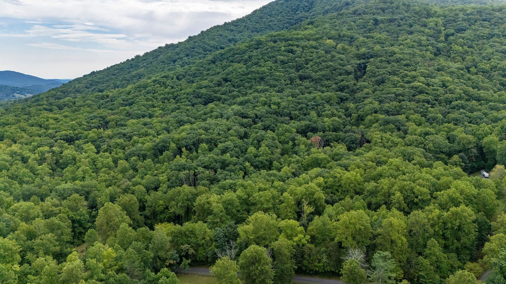 96 Acres BLACKWELLS HOLLOW RD, CROZET, Virginia 22932, ,Farm,96 Acres BLACKWELLS HOLLOW RD,666408 MLS # 666408