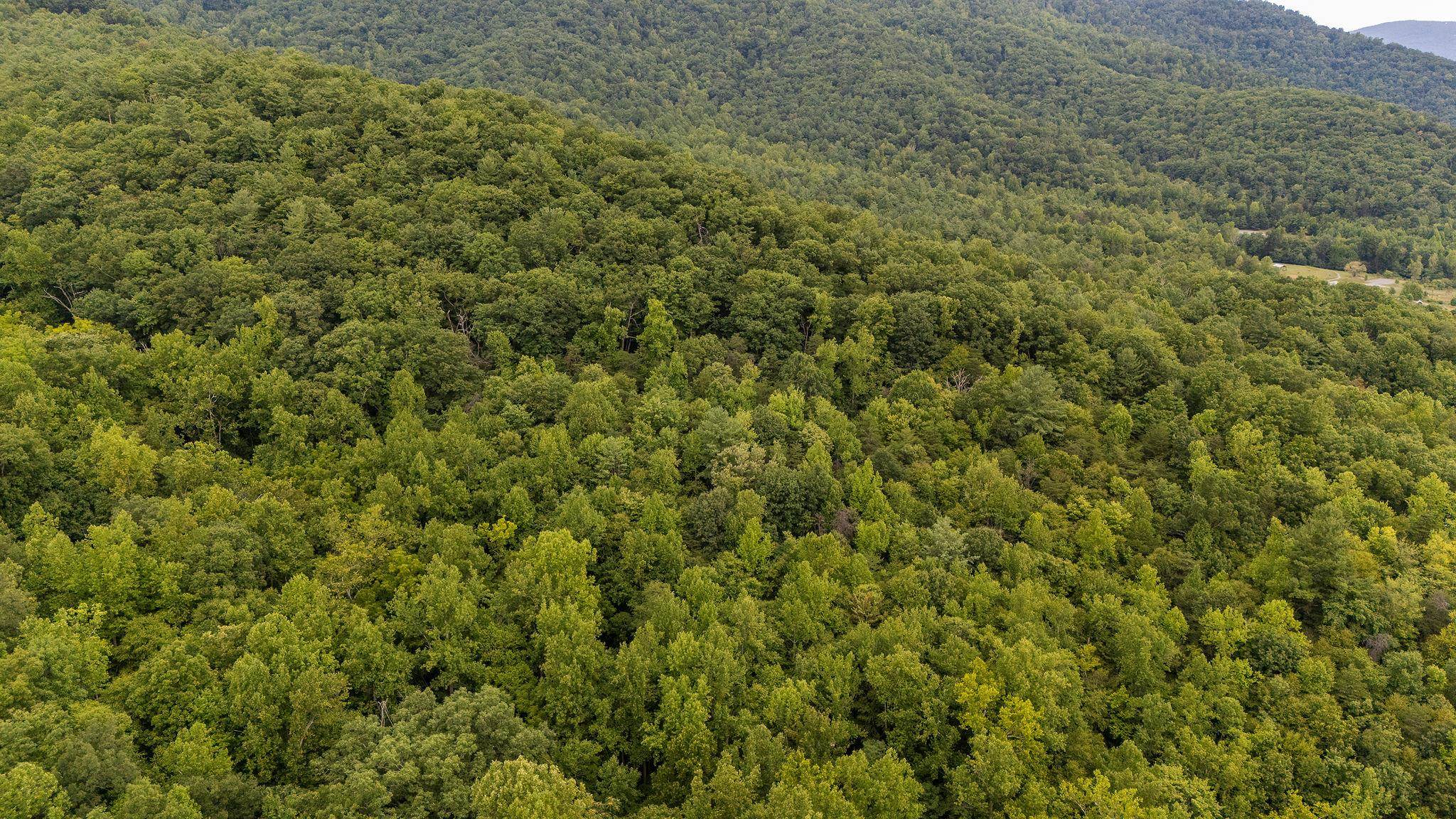 96 Acres BLACKWELLS HOLLOW RD, CROZET, Virginia 22932, ,Farm,96 Acres BLACKWELLS HOLLOW RD,666408 MLS # 666408