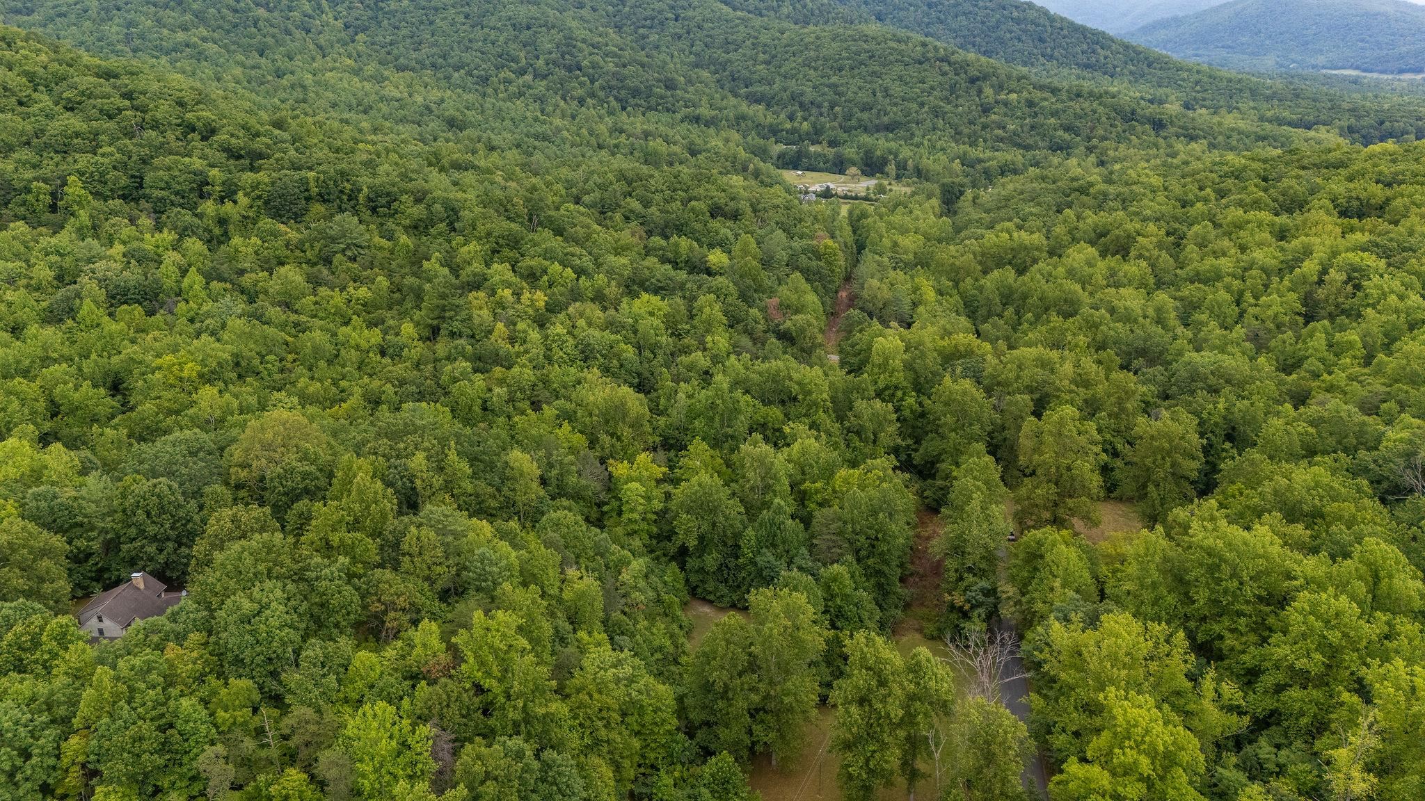 96 Acres BLACKWELLS HOLLOW RD, CROZET, Virginia 22932, ,Farm,96 Acres BLACKWELLS HOLLOW RD,666408 MLS # 666408