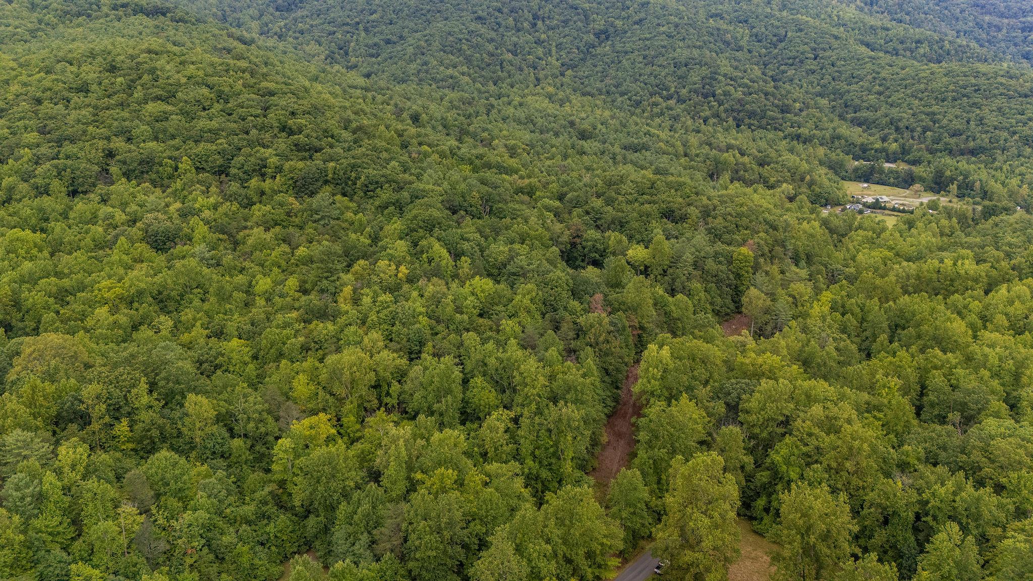 96 Acres BLACKWELLS HOLLOW RD, CROZET, Virginia 22932, ,Farm,96 Acres BLACKWELLS HOLLOW RD,666408 MLS # 666408