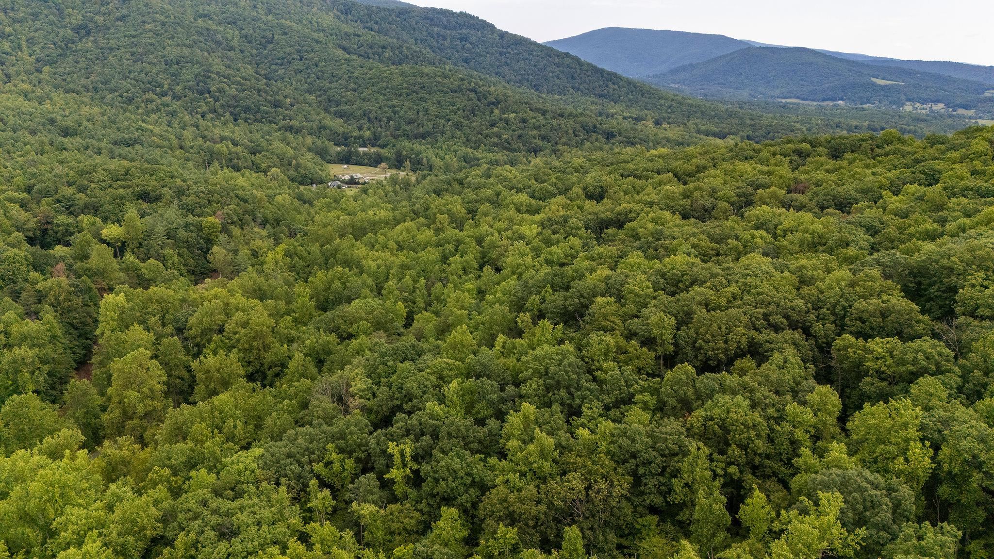 96 Acres BLACKWELLS HOLLOW RD, CROZET, Virginia 22932, ,Farm,96 Acres BLACKWELLS HOLLOW RD,666408 MLS # 666408