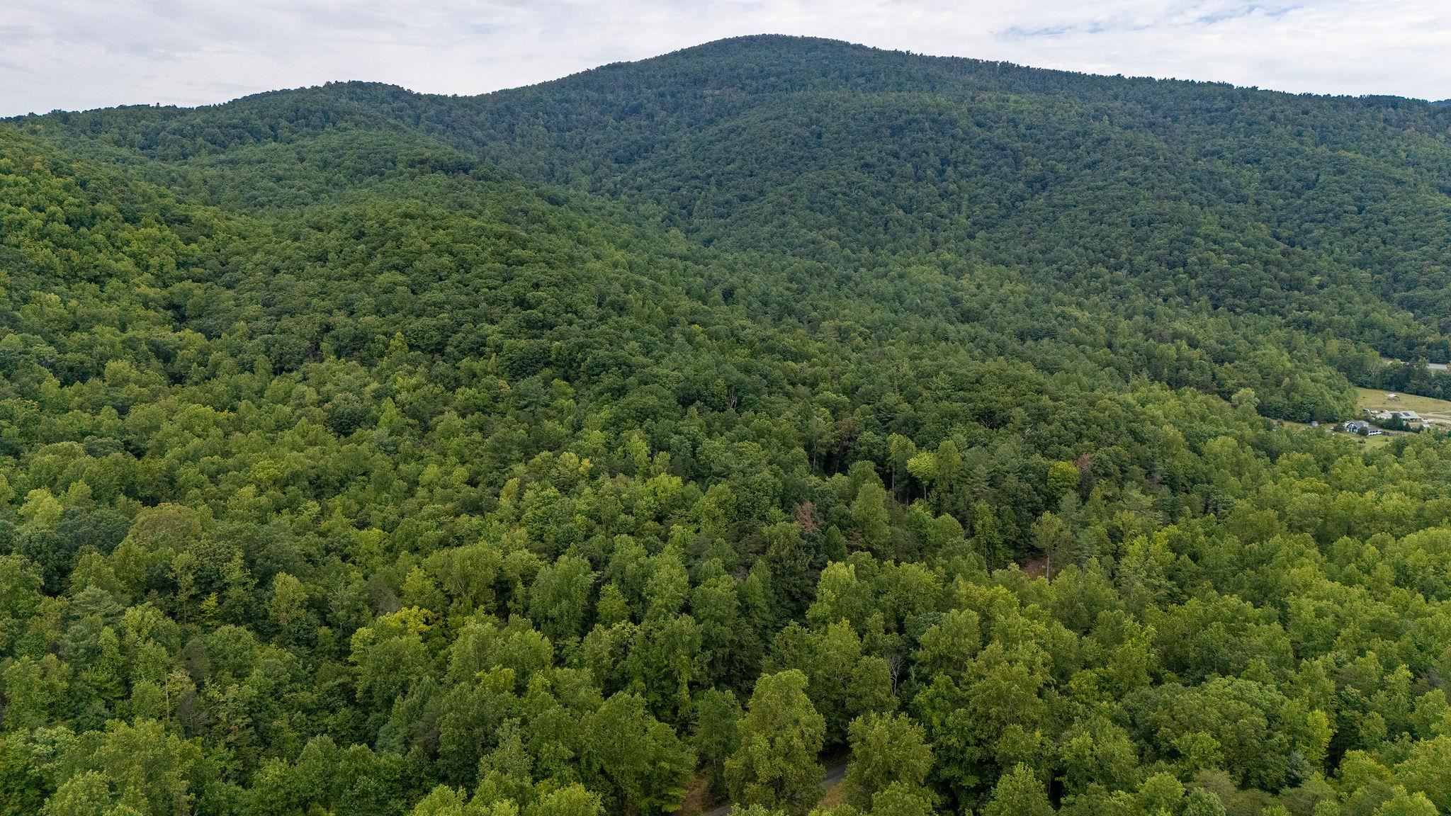96 Acres BLACKWELLS HOLLOW RD, CROZET, Virginia 22932, ,Farm,96 Acres BLACKWELLS HOLLOW RD,666408 MLS # 666408