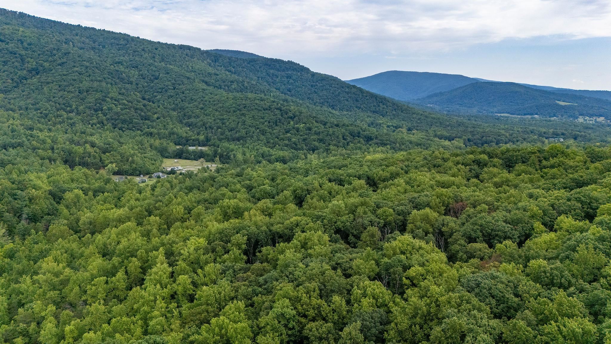 96 Acres BLACKWELLS HOLLOW RD, CROZET, Virginia 22932, ,Farm,96 Acres BLACKWELLS HOLLOW RD,666408 MLS # 666408