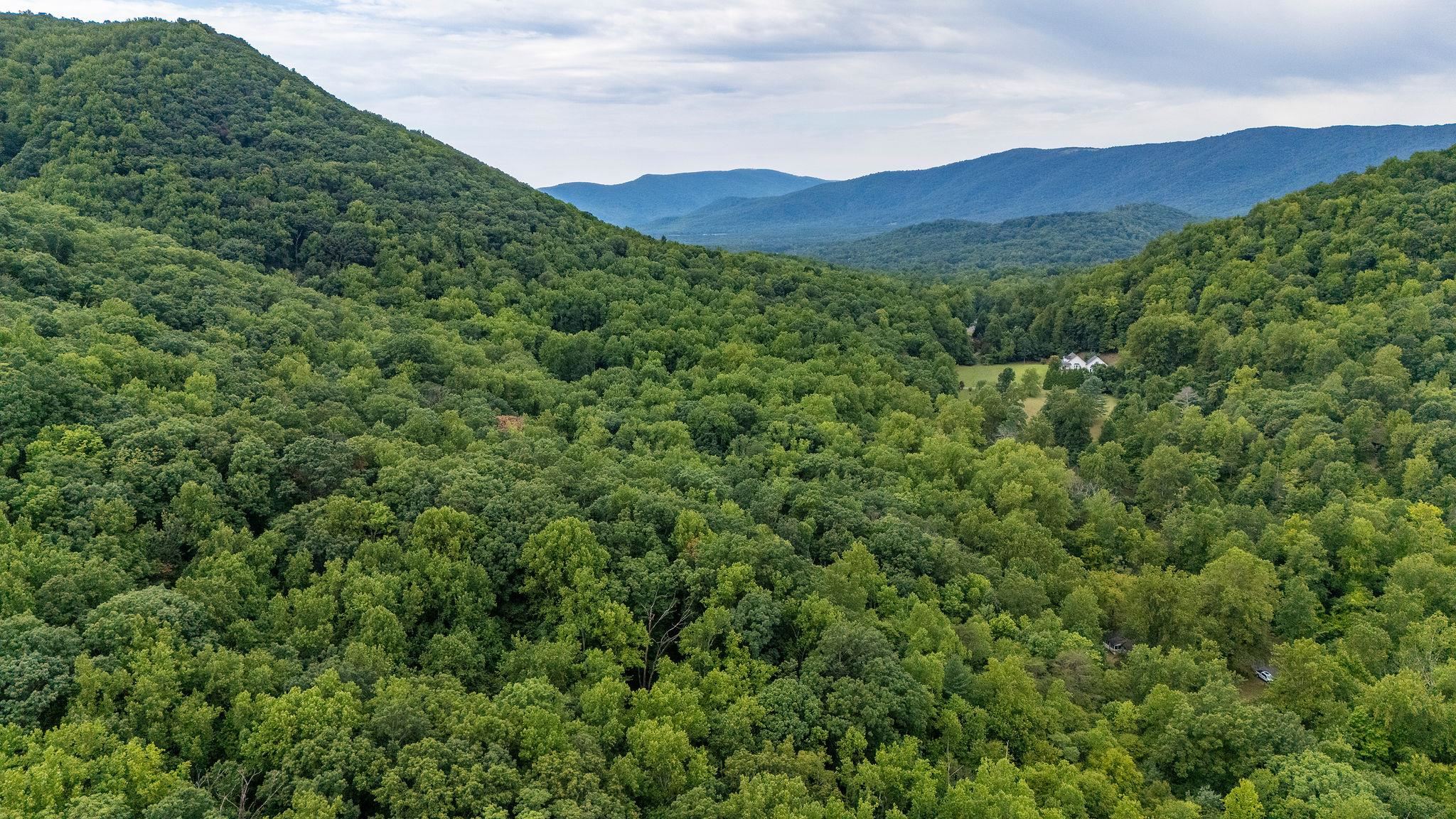 96 Acres BLACKWELLS HOLLOW RD, CROZET, Virginia 22932, ,Farm,96 Acres BLACKWELLS HOLLOW RD,666408 MLS # 666408