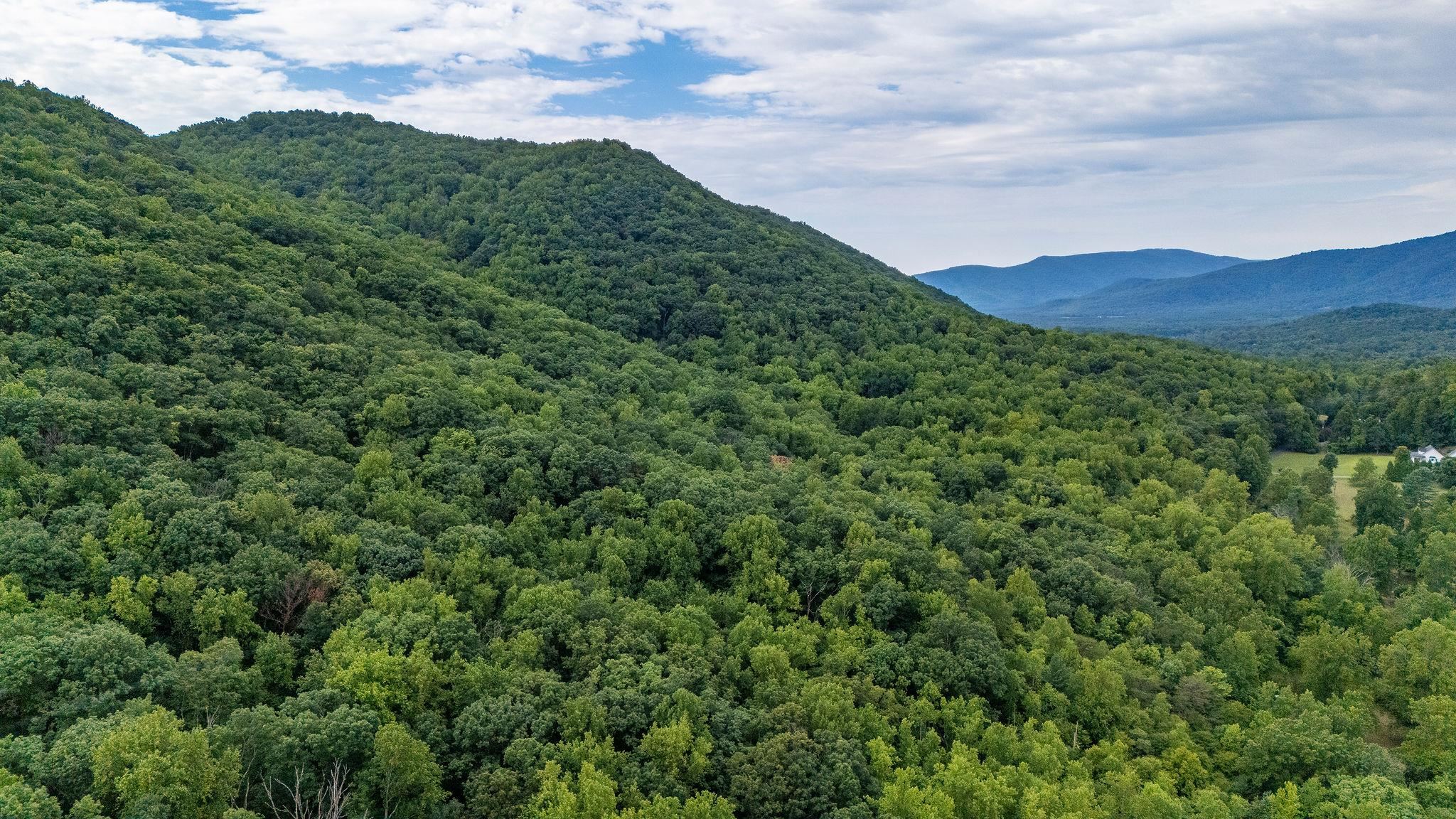 96 Acres BLACKWELLS HOLLOW RD, CROZET, Virginia 22932, ,Farm,96 Acres BLACKWELLS HOLLOW RD,666408 MLS # 666408