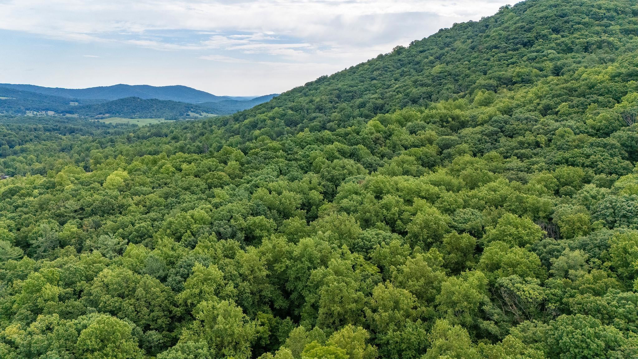 96 Acres BLACKWELLS HOLLOW RD, CROZET, Virginia 22932, ,Farm,96 Acres BLACKWELLS HOLLOW RD,666408 MLS # 666408