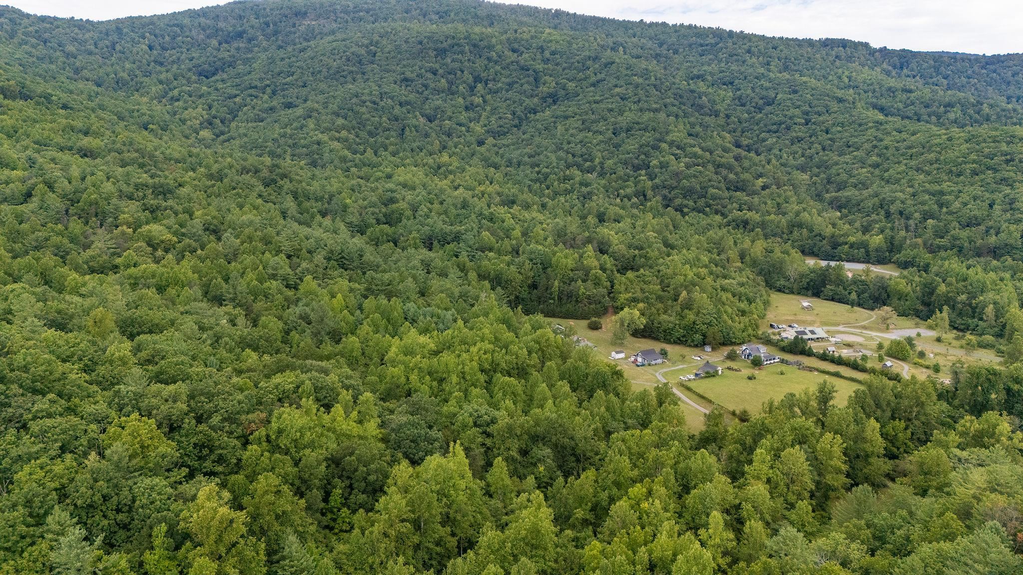 96 Acres BLACKWELLS HOLLOW RD, CROZET, Virginia 22932, ,Farm,96 Acres BLACKWELLS HOLLOW RD,666408 MLS # 666408