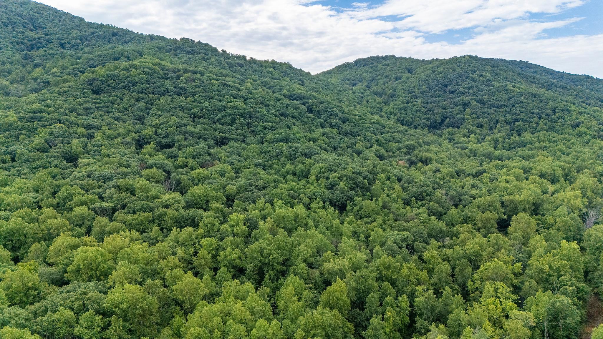 96 Acres BLACKWELLS HOLLOW RD, CROZET, Virginia 22932, ,Farm,96 Acres BLACKWELLS HOLLOW RD,666408 MLS # 666408