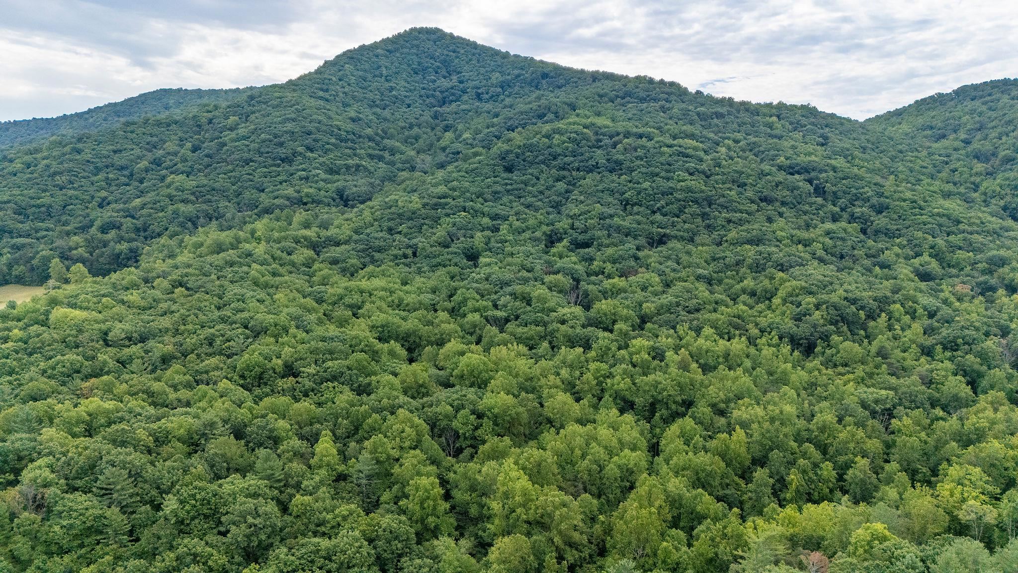 96 Acres BLACKWELLS HOLLOW RD, CROZET, Virginia 22932, ,Farm,96 Acres BLACKWELLS HOLLOW RD,666408 MLS # 666408