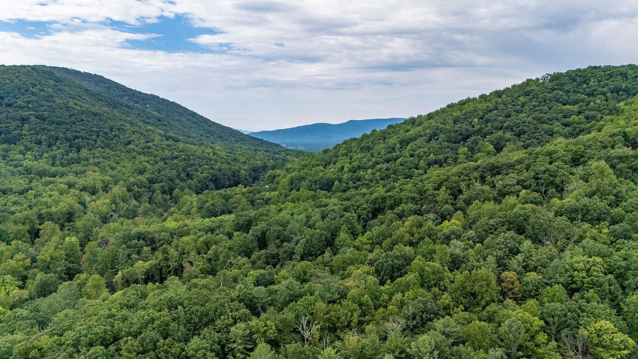 96 Acres BLACKWELLS HOLLOW RD, CROZET, Virginia 22932, ,Farm,96 Acres BLACKWELLS HOLLOW RD,666408 MLS # 666408