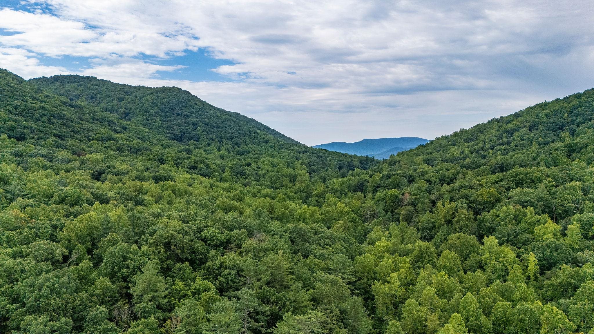 96 Acres BLACKWELLS HOLLOW RD, CROZET, Virginia 22932, ,Farm,96 Acres BLACKWELLS HOLLOW RD,666408 MLS # 666408
