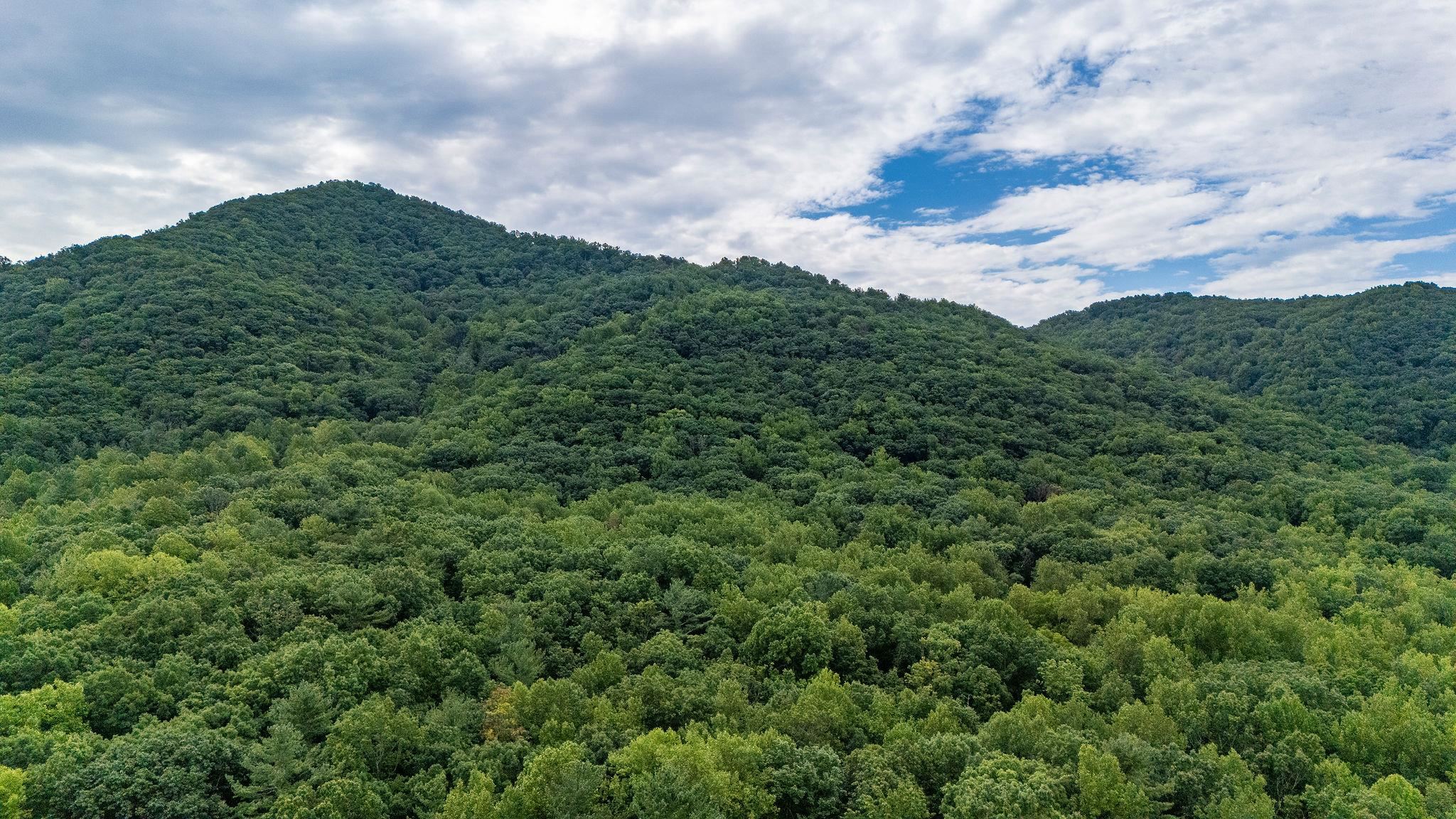96 Acres BLACKWELLS HOLLOW RD, CROZET, Virginia 22932, ,Farm,96 Acres BLACKWELLS HOLLOW RD,666408 MLS # 666408
