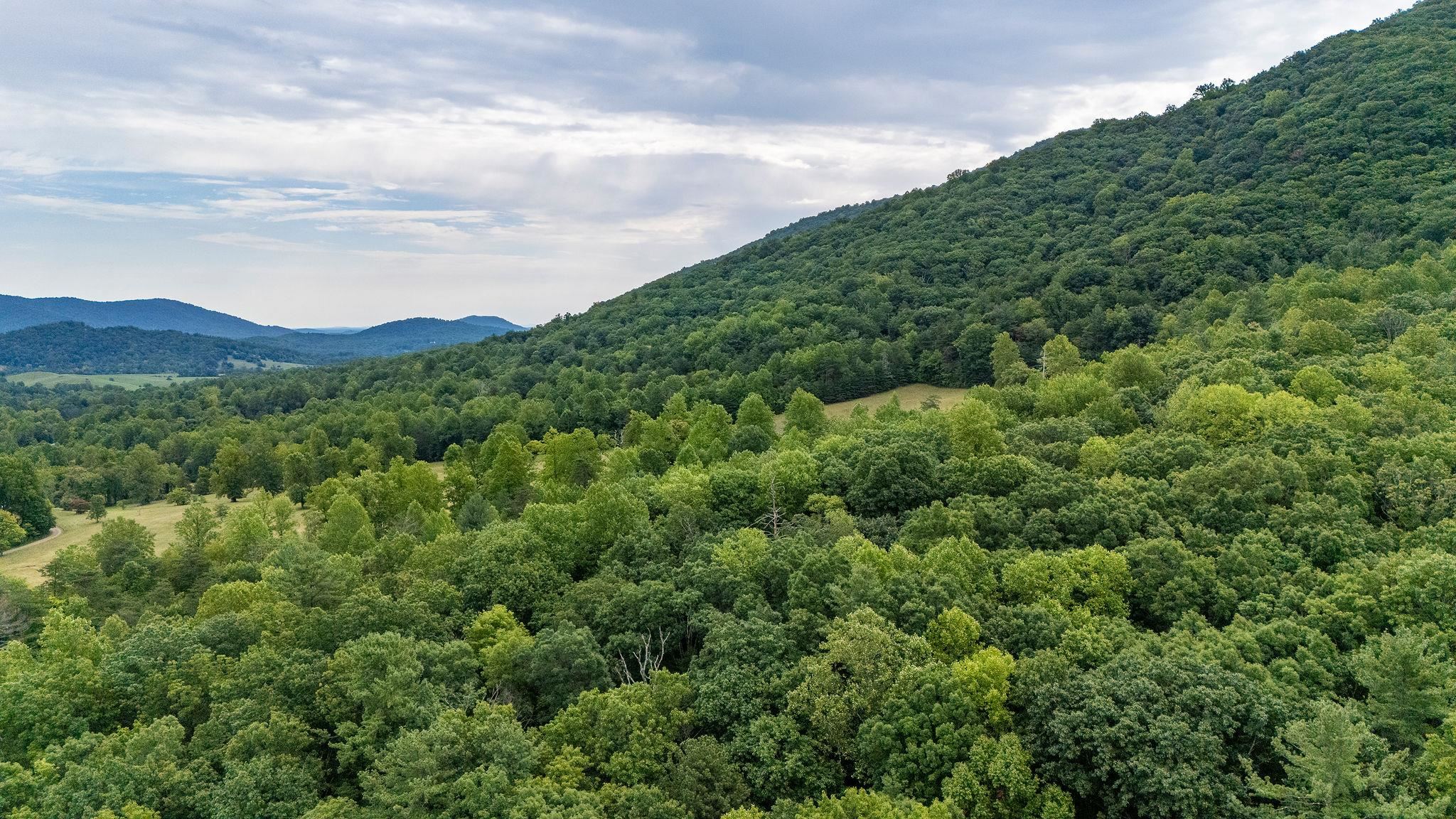 96 Acres BLACKWELLS HOLLOW RD, CROZET, Virginia 22932, ,Farm,96 Acres BLACKWELLS HOLLOW RD,666408 MLS # 666408