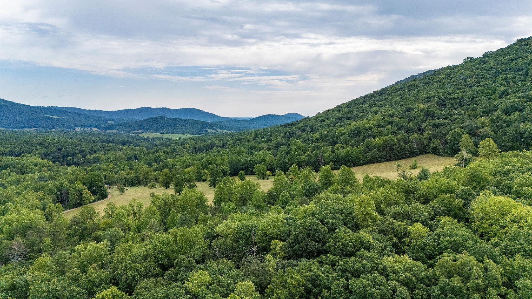 96 Acres BLACKWELLS HOLLOW RD, CROZET, Virginia 22932, ,Farm,96 Acres BLACKWELLS HOLLOW RD,666408 MLS # 666408