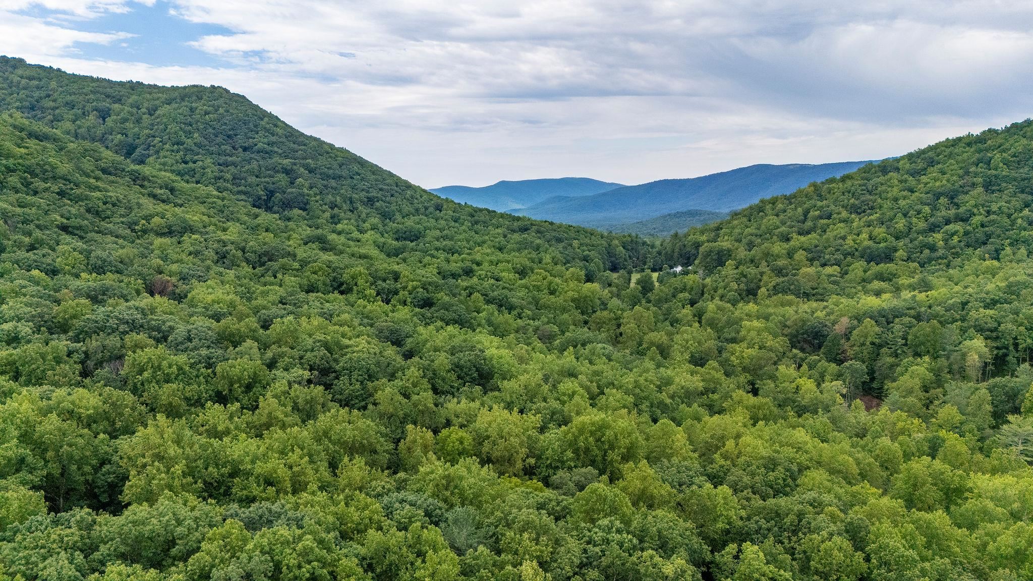 96 Acres BLACKWELLS HOLLOW RD, CROZET, Virginia 22932, ,Farm,96 Acres BLACKWELLS HOLLOW RD,666408 MLS # 666408