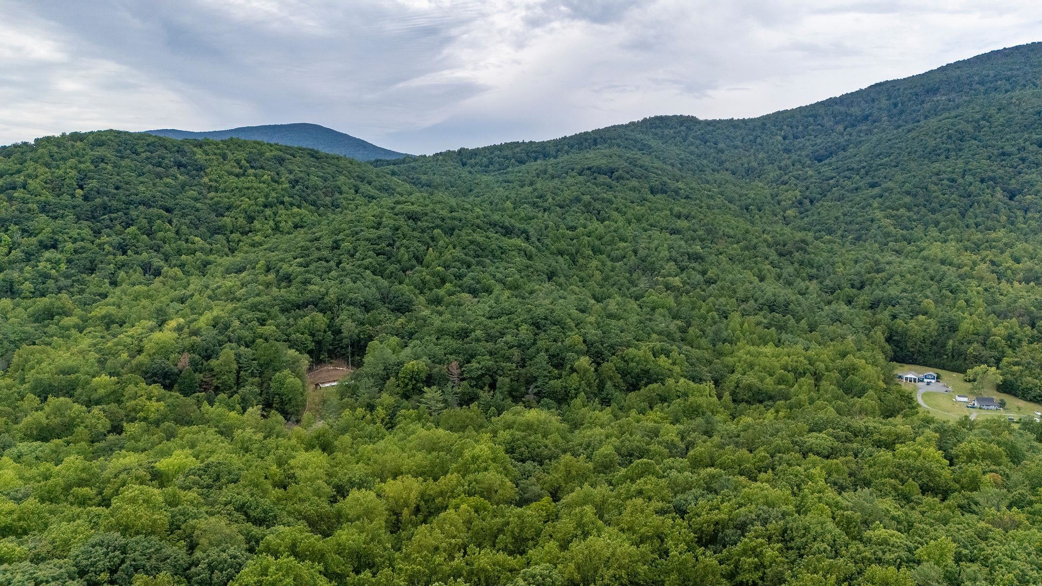 96 Acres BLACKWELLS HOLLOW RD, CROZET, Virginia 22932, ,Farm,96 Acres BLACKWELLS HOLLOW RD,666408 MLS # 666408