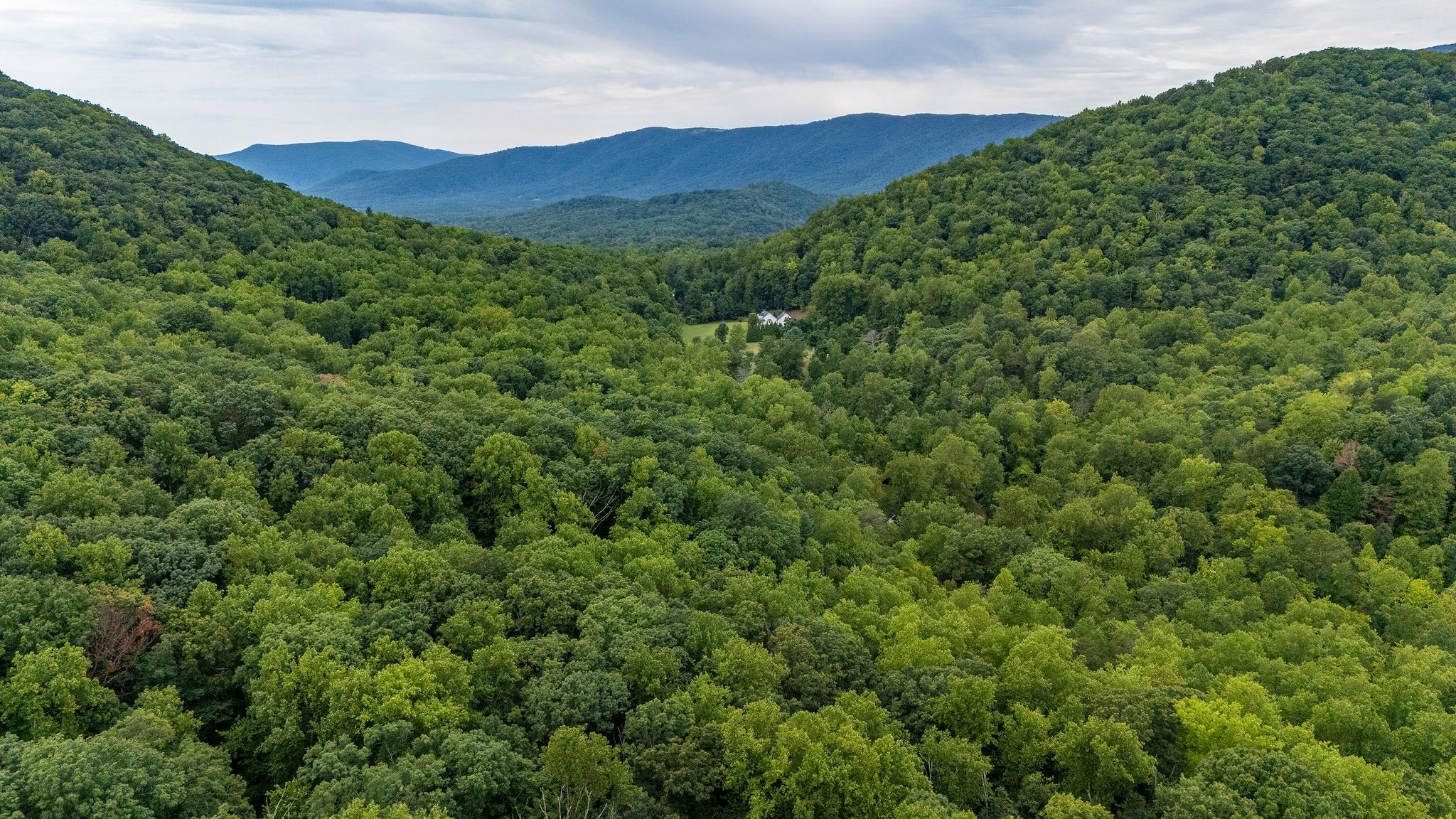 96 Acres BLACKWELLS HOLLOW RD, CROZET, Virginia 22932, ,Farm,96 Acres BLACKWELLS HOLLOW RD,666408 MLS # 666408