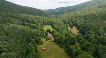 7304 DRY RUN RD, BURNSVILLE, Virginia 24487, ,Farm,For sale,7304 DRY RUN RD,666410 MLS # 666410