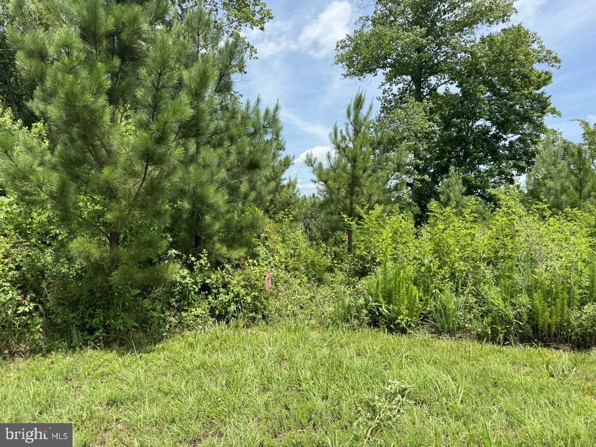 SANDY TRAIL, VERNON HILL, Virginia 24597, ,Land,For sale,SANDY TRAIL,VAHX2000108 MLS # VAHX2000108